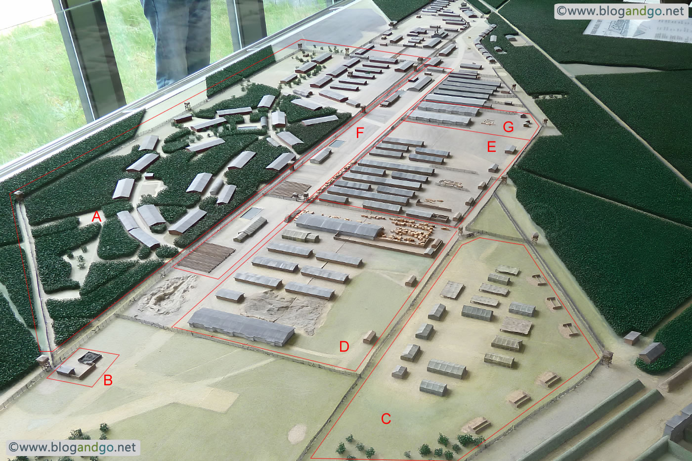 Belsen - Plan of the camp
